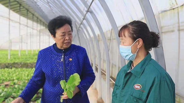  王银香(左)在有机蔬菜大棚向农户讲授农技知识 