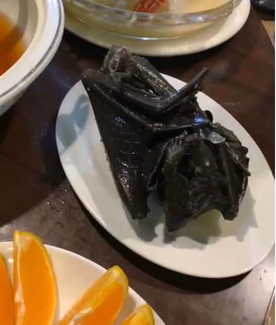 岛内网友提供的帕劳当地风味食品“蝙蝠汤”。图自台湾“三立新闻网”