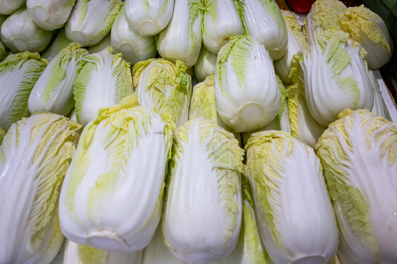 【宅家美食】冬日里,这个菜是北方人餐桌“扛把子”。上海人却喜欢这样吃……休闲区蓝鸢梦想 - Www.slyday.coM 【宅家美食】冬日里,这个菜是北方人餐桌“扛把子”。上海人却喜欢这样吃……休闲区蓝鸢梦想 - Www.slyday.coM