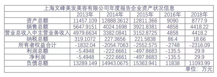 上海文峰美容美发有限公司年度报告企业资产状况信息 天眼查截图