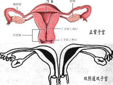 人兔战争持续150年，<a href=