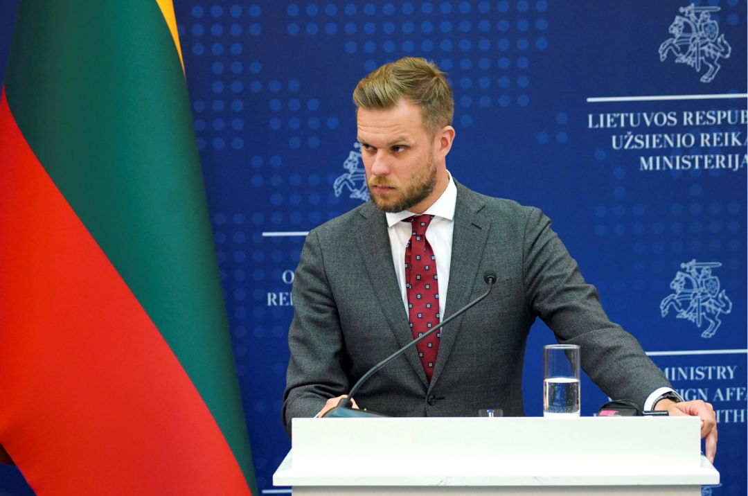 立陶宛外交部长兰茨贝尔吉斯 资料图