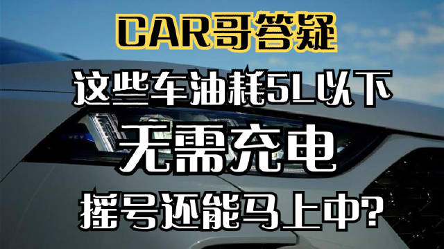 答疑|这些车百公里油耗5L以下、无需充电、摇号还能马上中？