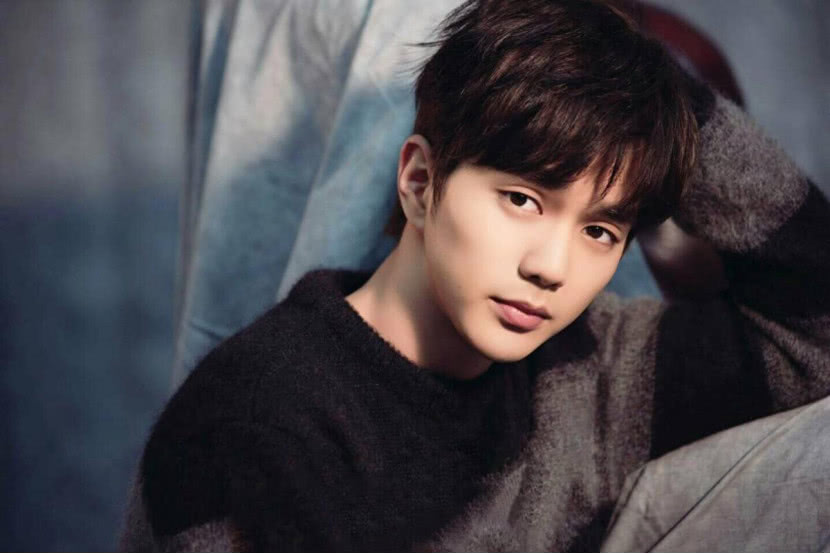 中日韩男神的最后归宿：国内赵本山，<a href=