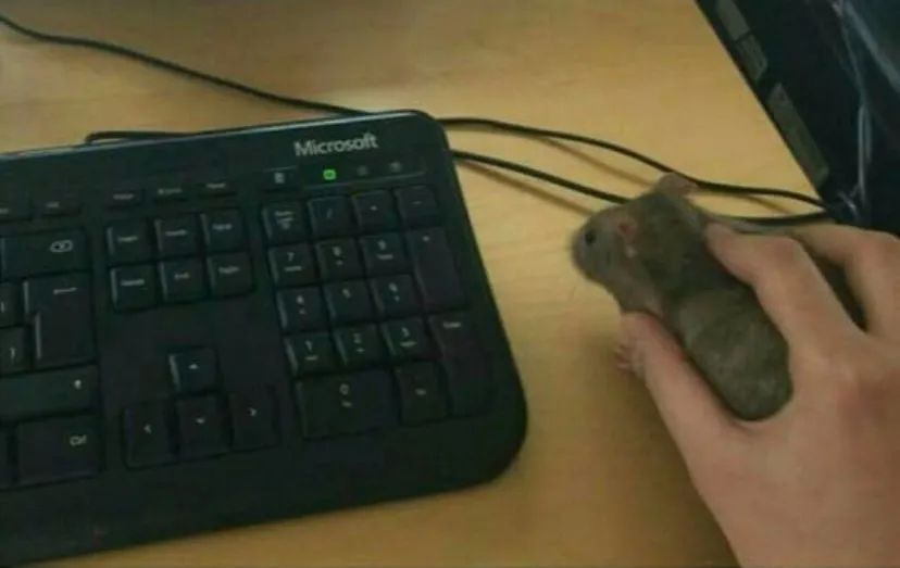 键盘上最多余的按键,为什么还没被干掉休闲区蓝鸢梦想 - Www.slyday.coM 键盘上最多余的按键,为什么还没被干掉休闲区蓝鸢梦想 - Www.slyday.coM