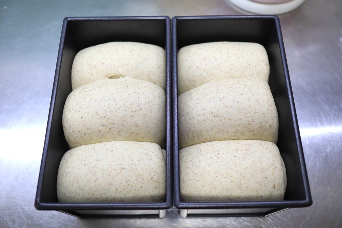 用波兰种做的黑全麦吐司，放3天都柔软，越吃越香，真材实料