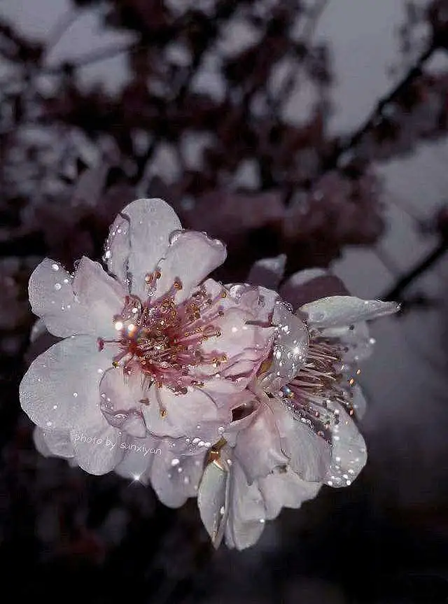 她能代表<a href=