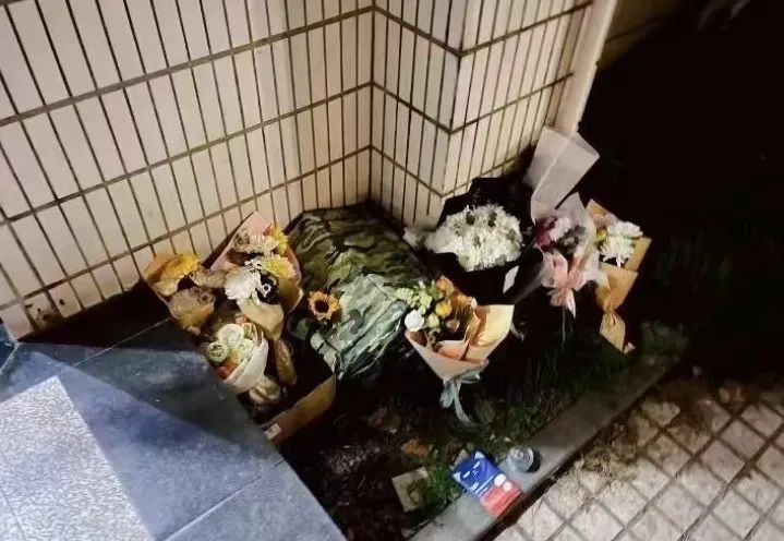 同济大学彰武校区大量猫咪集体中毒!?投毒者难以找寻...休闲区蓝鸢梦想 - Www.slyday.coM 同济大学彰武校区大量猫咪集体中毒!?投毒者难以找寻...休闲区蓝鸢梦想 - Www.slyday.coM