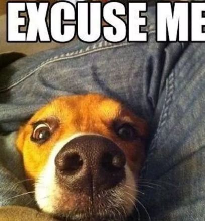 养狗之后你的生活将会有这23种改变...简直不要太准!!休闲区蓝鸢梦想 - Www.slyday.coM 养狗之后你的生活将会有这23种改变...简直不要太准!!休闲区蓝鸢梦想 - Www.slyday.coM