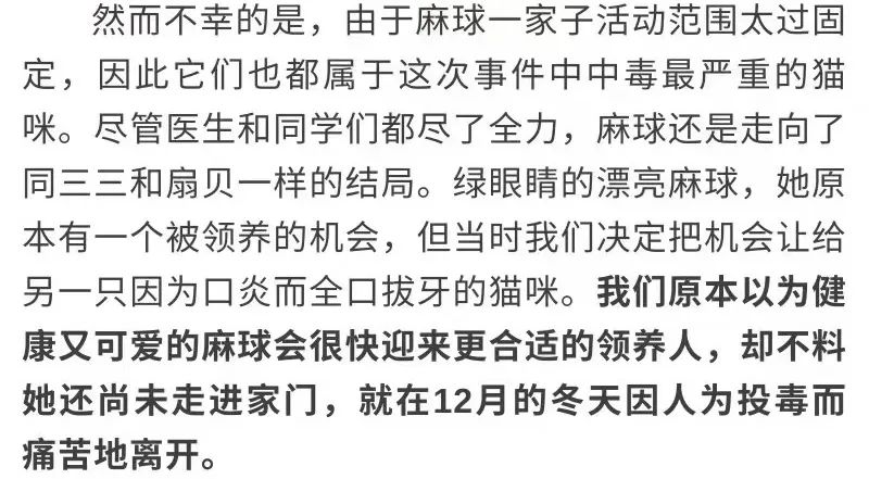 同济大学彰武校区大量猫咪集体中毒!?投毒者难以找寻...休闲区蓝鸢梦想 - Www.slyday.coM 同济大学彰武校区大量猫咪集体中毒!?投毒者难以找寻...休闲区蓝鸢梦想 - Www.slyday.coM