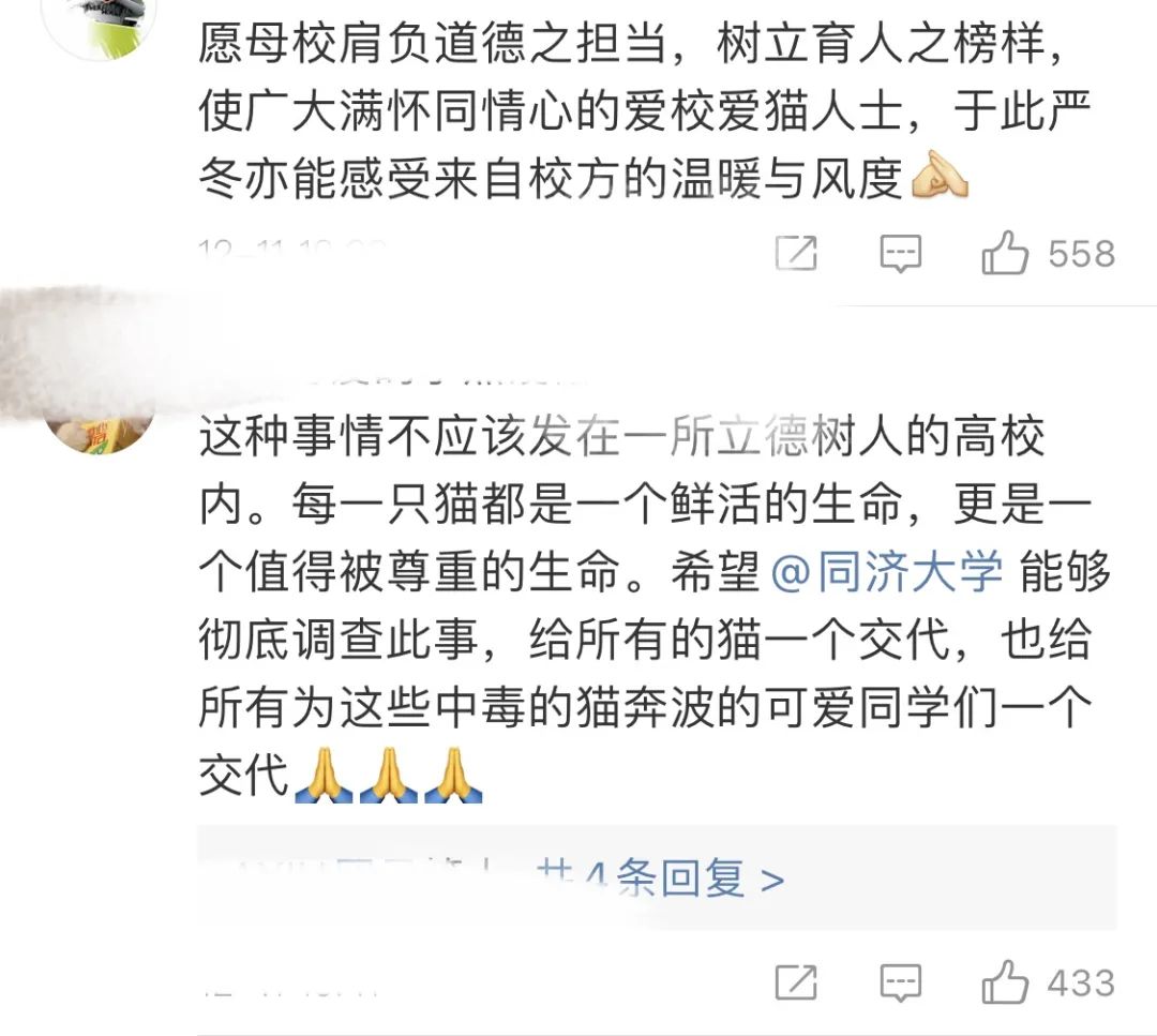 同济大学彰武校区大量猫咪集体中毒!?投毒者难以找寻...休闲区蓝鸢梦想 - Www.slyday.coM 同济大学彰武校区大量猫咪集体中毒!?投毒者难以找寻...休闲区蓝鸢梦想 - Www.slyday.coM