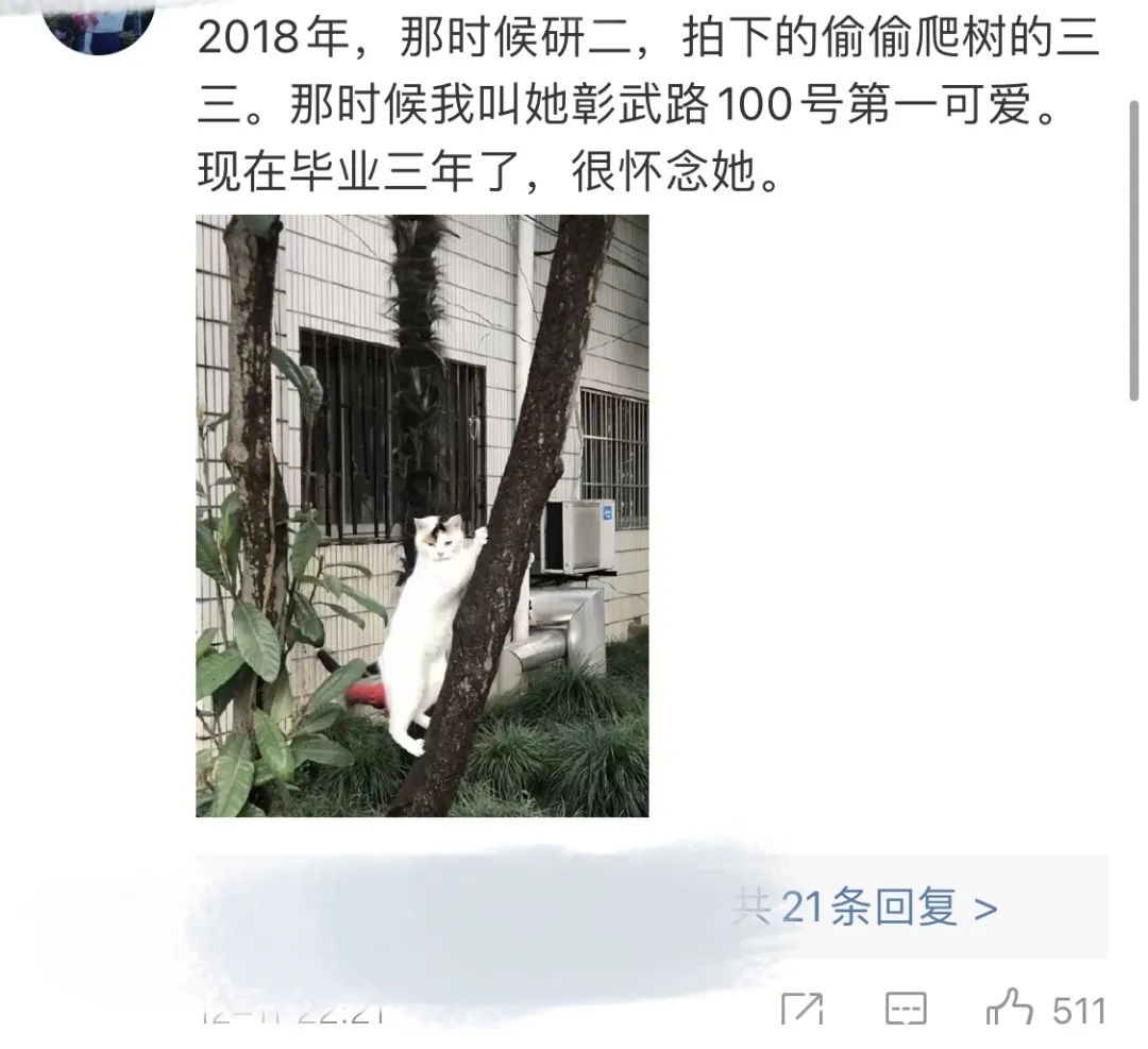同济大学彰武校区大量猫咪集体中毒!?投毒者难以找寻...休闲区蓝鸢梦想 - Www.slyday.coM 同济大学彰武校区大量猫咪集体中毒!?投毒者难以找寻...休闲区蓝鸢梦想 - Www.slyday.coM