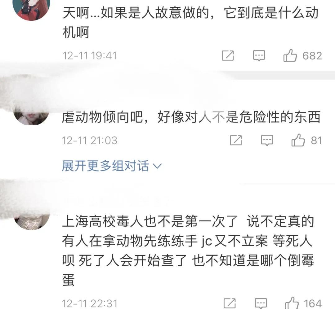 同济大学彰武校区大量猫咪集体中毒!?投毒者难以找寻...休闲区蓝鸢梦想 - Www.slyday.coM 同济大学彰武校区大量猫咪集体中毒!?投毒者难以找寻...休闲区蓝鸢梦想 - Www.slyday.coM