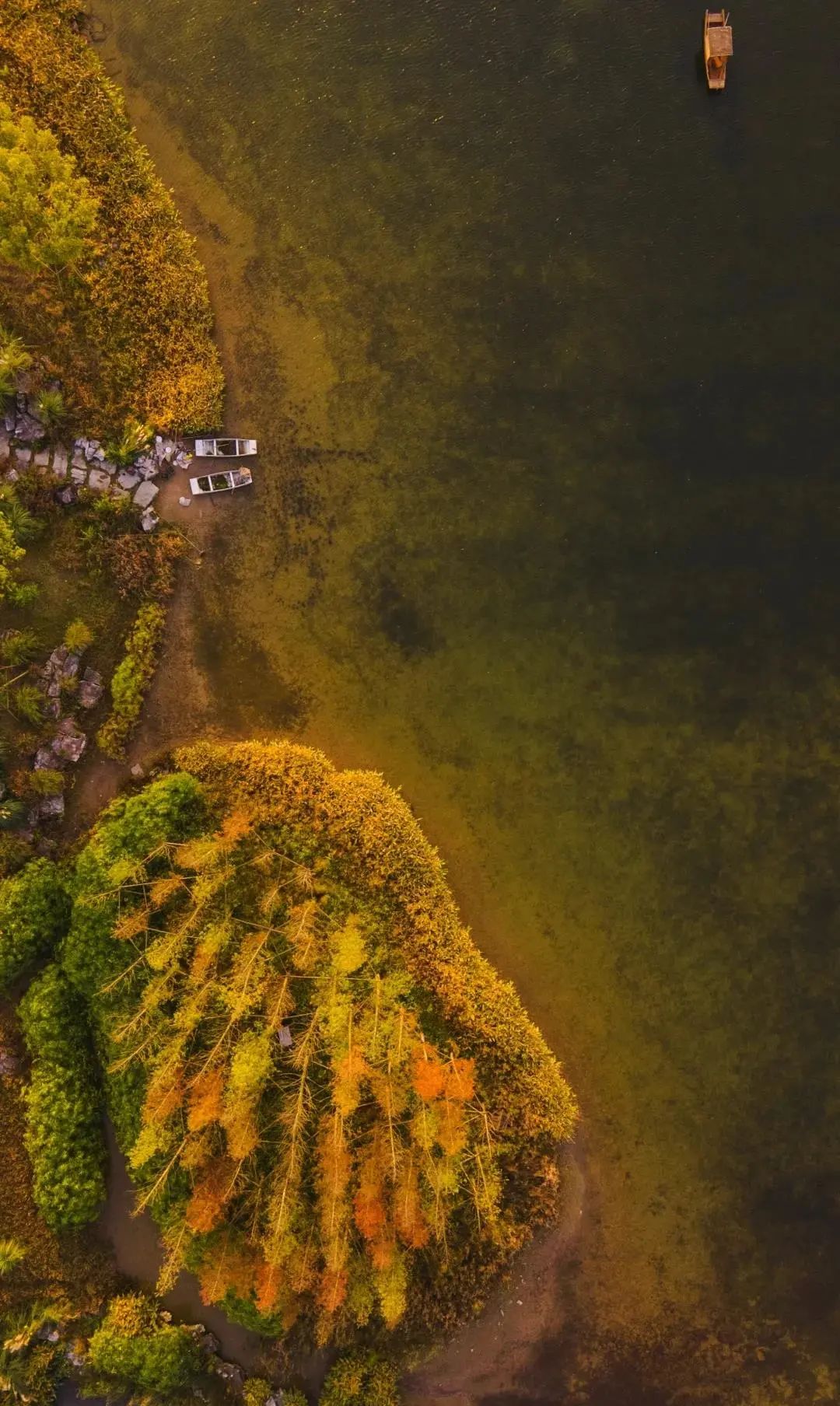 广阳岛上每一帧色彩都是冬日治愈系美景。南岸区融媒体中心 郭旭 摄