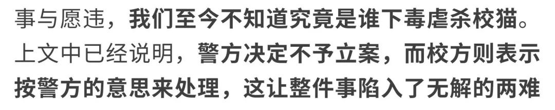 同济大学彰武校区大量猫咪集体中毒!?投毒者难以找寻...休闲区蓝鸢梦想 - Www.slyday.coM 同济大学彰武校区大量猫咪集体中毒!?投毒者难以找寻...休闲区蓝鸢梦想 - Www.slyday.coM