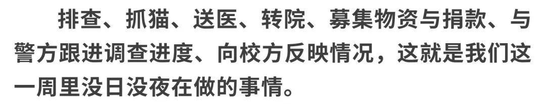 同济大学彰武校区大量猫咪集体中毒!?投毒者难以找寻...休闲区蓝鸢梦想 - Www.slyday.coM 同济大学彰武校区大量猫咪集体中毒!?投毒者难以找寻...休闲区蓝鸢梦想 - Www.slyday.coM