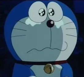 同济大学彰武校区大量猫咪集体中毒!?投毒者难以找寻...休闲区蓝鸢梦想 - Www.slyday.coM 同济大学彰武校区大量猫咪集体中毒!?投毒者难以找寻...休闲区蓝鸢梦想 - Www.slyday.coM