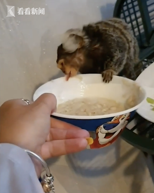 把宠物绒猴冲进马桶 英国女子虐待动物被判刑休闲区蓝鸢梦想 - Www.slyday.coM 把宠物绒猴冲进马桶 英国女子虐待动物被判刑休闲区蓝鸢梦想 - Www.slyday.coM