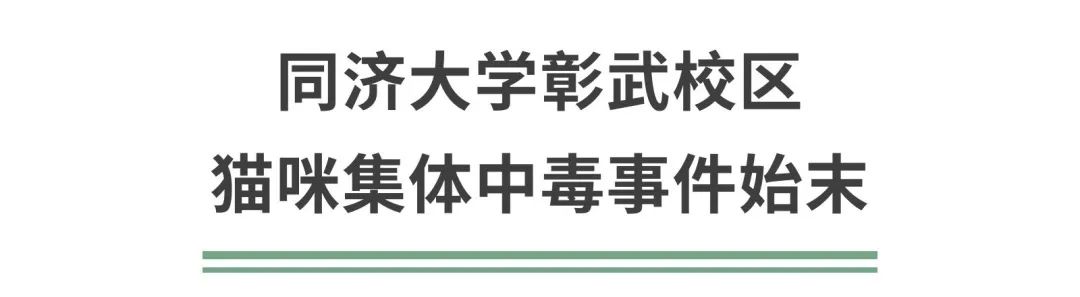 同济大学彰武校区大量猫咪集体中毒!?投毒者难以找寻...休闲区蓝鸢梦想 - Www.slyday.coM 同济大学彰武校区大量猫咪集体中毒!?投毒者难以找寻...休闲区蓝鸢梦想 - Www.slyday.coM