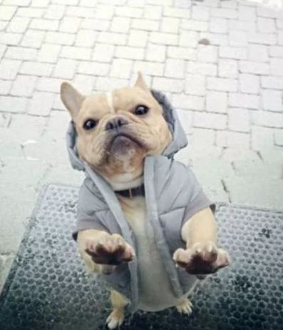 养狗之后你的生活将会有这23种改变...简直不要太准!!休闲区蓝鸢梦想 - Www.slyday.coM 养狗之后你的生活将会有这23种改变...简直不要太准!!休闲区蓝鸢梦想 - Www.slyday.coM