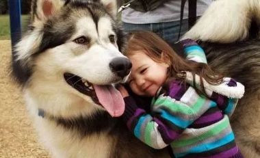 养狗之后你的生活将会有这23种改变...简直不要太准!!休闲区蓝鸢梦想 - Www.slyday.coM 养狗之后你的生活将会有这23种改变...简直不要太准!!休闲区蓝鸢梦想 - Www.slyday.coM