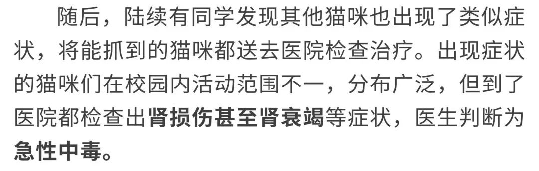 同济大学彰武校区大量猫咪集体中毒!?投毒者难以找寻...休闲区蓝鸢梦想 - Www.slyday.coM 同济大学彰武校区大量猫咪集体中毒!?投毒者难以找寻...休闲区蓝鸢梦想 - Www.slyday.coM