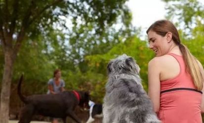 养狗之后你的生活将会有这23种改变...简直不要太准!!休闲区蓝鸢梦想 - Www.slyday.coM 养狗之后你的生活将会有这23种改变...简直不要太准!!休闲区蓝鸢梦想 - Www.slyday.coM