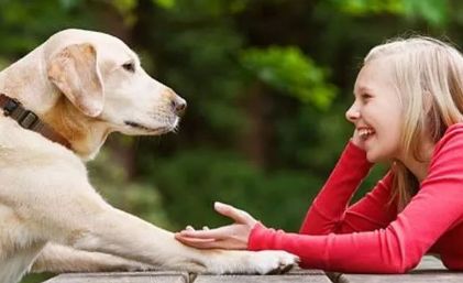 养狗之后你的生活将会有这23种改变...简直不要太准!!休闲区蓝鸢梦想 - Www.slyday.coM 养狗之后你的生活将会有这23种改变...简直不要太准!!休闲区蓝鸢梦想 - Www.slyday.coM