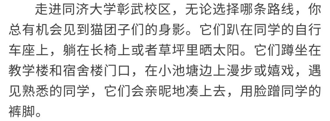 同济大学彰武校区大量猫咪集体中毒!?投毒者难以找寻...休闲区蓝鸢梦想 - Www.slyday.coM 同济大学彰武校区大量猫咪集体中毒!?投毒者难以找寻...休闲区蓝鸢梦想 - Www.slyday.coM