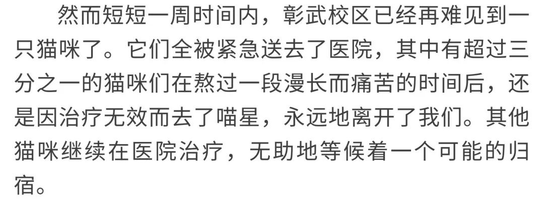 同济大学彰武校区大量猫咪集体中毒!?投毒者难以找寻...休闲区蓝鸢梦想 - Www.slyday.coM 同济大学彰武校区大量猫咪集体中毒!?投毒者难以找寻...休闲区蓝鸢梦想 - Www.slyday.coM