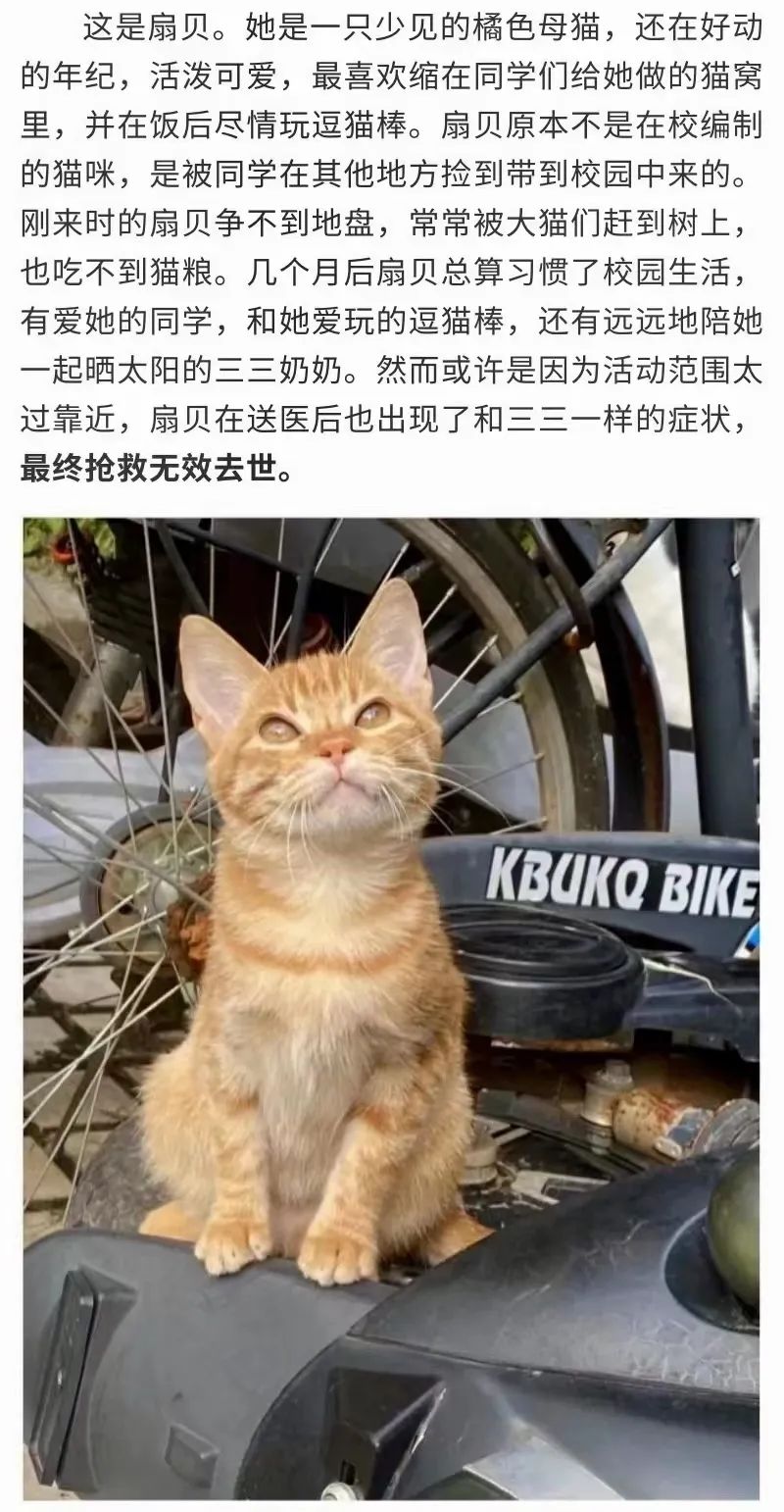 同济大学彰武校区大量猫咪集体中毒!?投毒者难以找寻...休闲区蓝鸢梦想 - Www.slyday.coM 同济大学彰武校区大量猫咪集体中毒!?投毒者难以找寻...休闲区蓝鸢梦想 - Www.slyday.coM