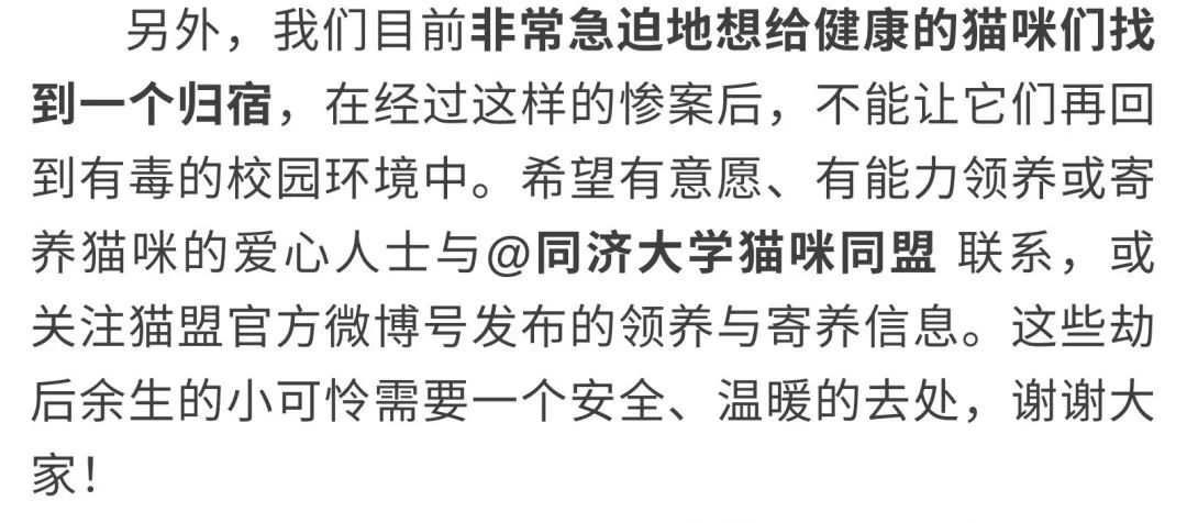 同济大学彰武校区大量猫咪集体中毒!?投毒者难以找寻...休闲区蓝鸢梦想 - Www.slyday.coM 同济大学彰武校区大量猫咪集体中毒!?投毒者难以找寻...休闲区蓝鸢梦想 - Www.slyday.coM