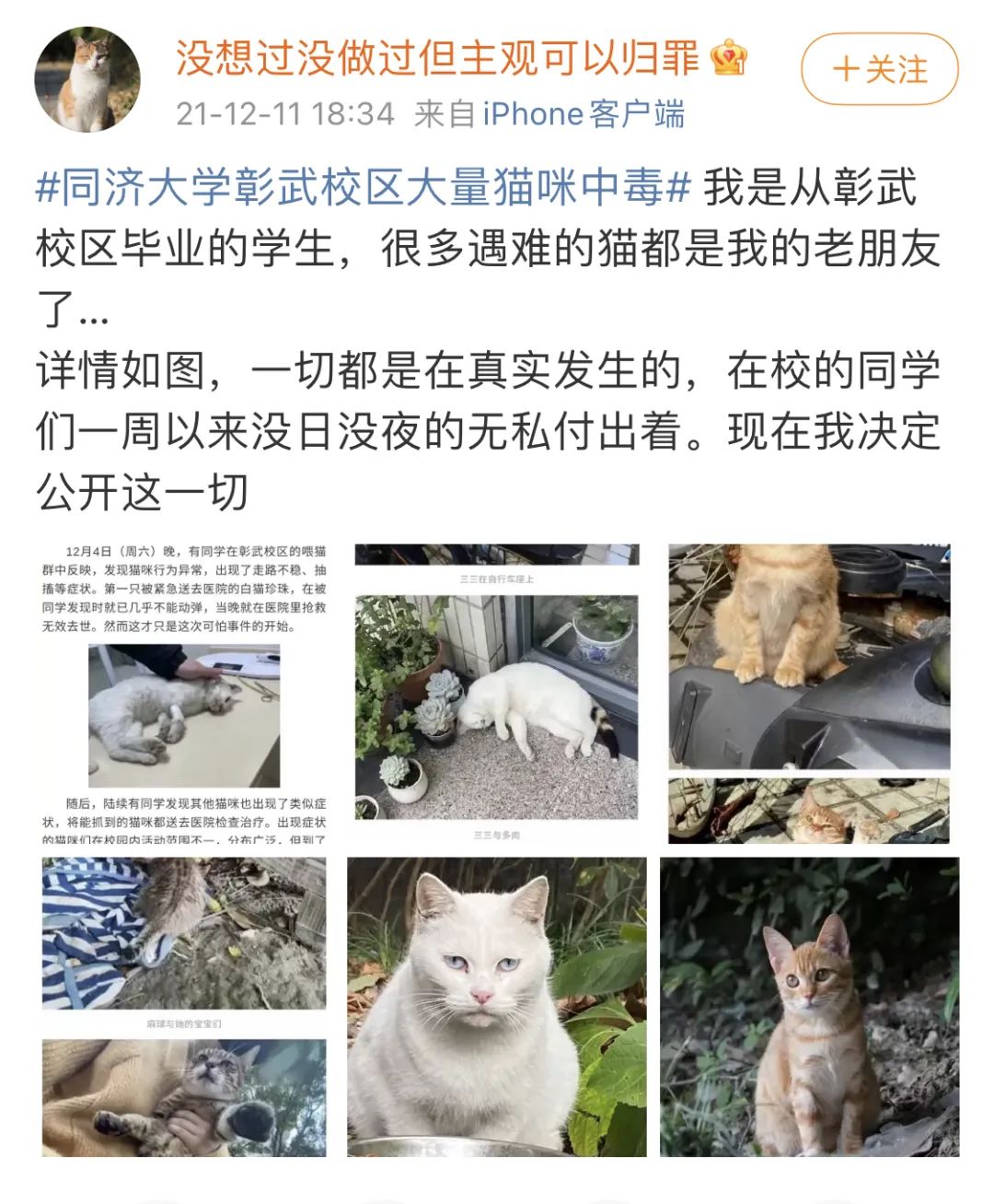 同济大学彰武校区大量猫咪集体中毒!?投毒者难以找寻...休闲区蓝鸢梦想 - Www.slyday.coM 同济大学彰武校区大量猫咪集体中毒!?投毒者难以找寻...休闲区蓝鸢梦想 - Www.slyday.coM