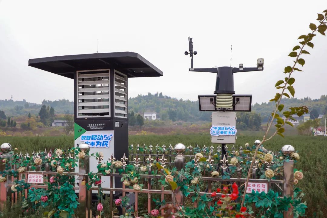 智慧农业监测系统（虫情测报、气象测报） 徐沁康 摄
