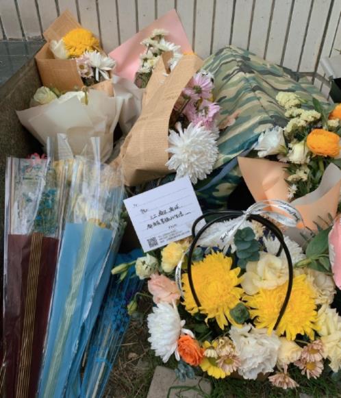 警方回应同济大学十余只猫中毒致死:作案人员已找到休闲区蓝鸢梦想 - Www.slyday.coM 警方回应同济大学十余只猫中毒致死:作案人员已找到休闲区蓝鸢梦想 - Www.slyday.coM