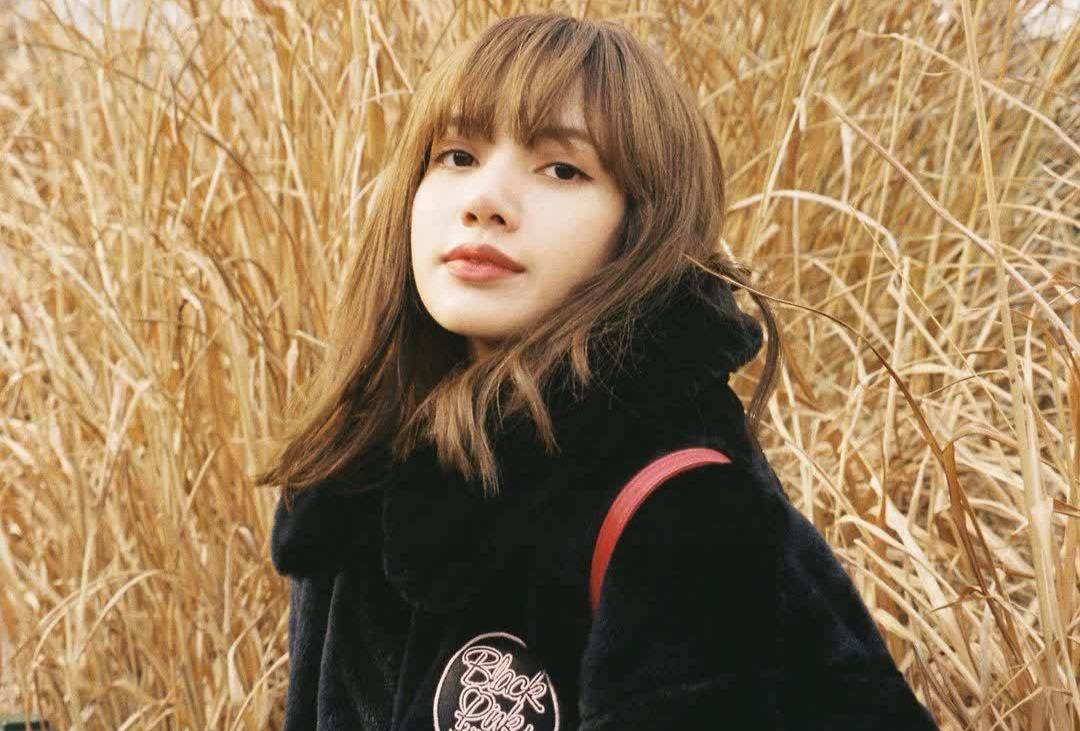 从Lisa刘在石到申贤彬，<a href=