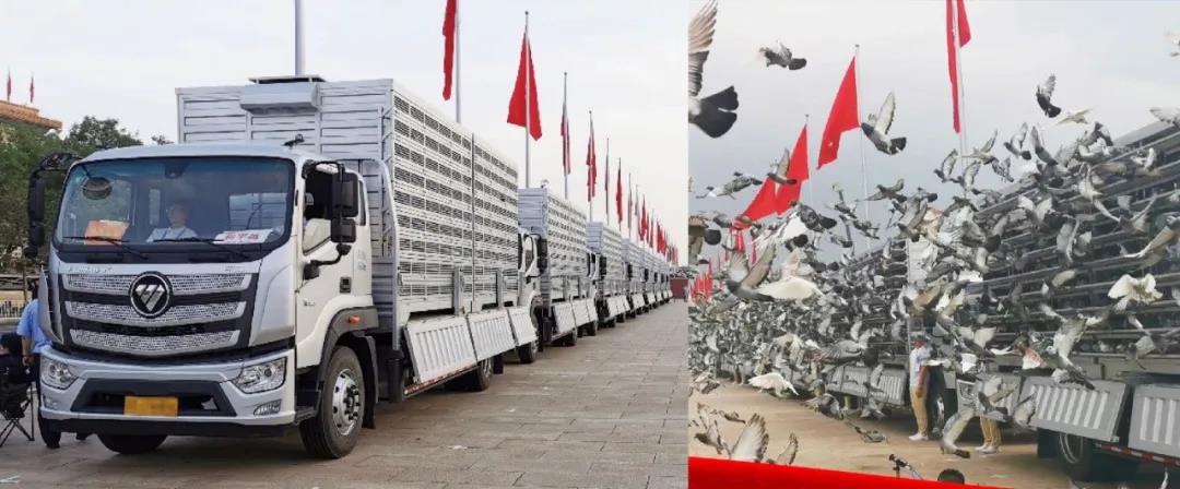 中国年度卡车评委为什么把选票投给了欧航R pro自动挡超级中卡?休闲区蓝鸢梦想 - Www.slyday.coM 中国年度卡车评委为什么把选票投给了欧航R pro自动挡超级中卡?休闲区蓝鸢梦想 - Www.slyday.coM