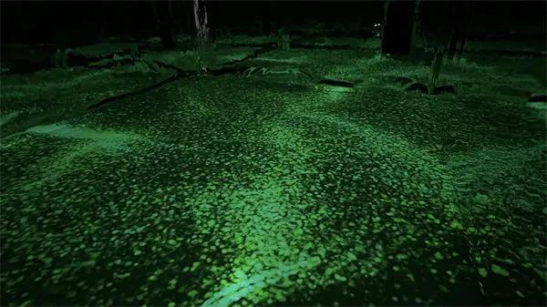 2021亚洲国际当代艺术邀请展<a href=