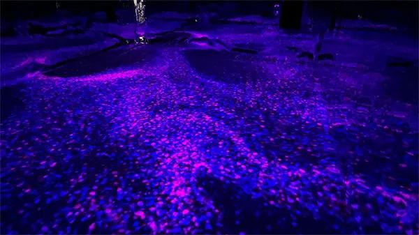 2021亚洲国际当代艺术邀请展<a href=