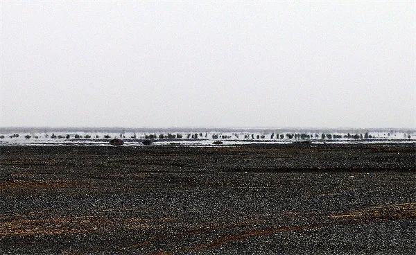 2021亚洲国际当代艺术邀请展<a href=