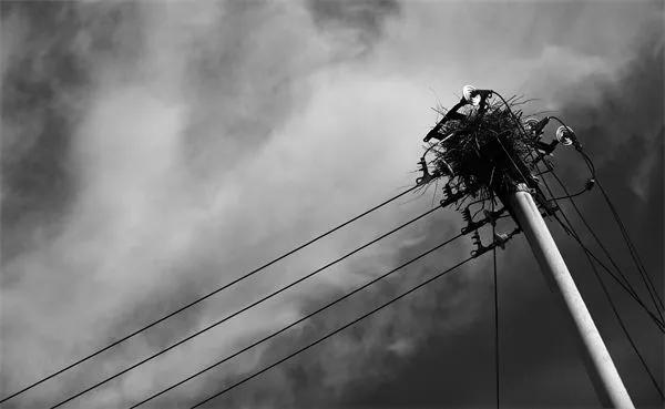 2021亚洲国际当代艺术邀请展<a href=