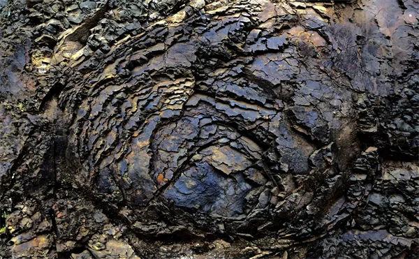 2021亚洲国际当代艺术邀请展<a href=