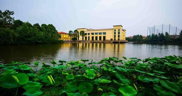 成都大学招聘_学科专业带头人年薪40万+购房补贴100万|2022年成都大学人才招聘启...