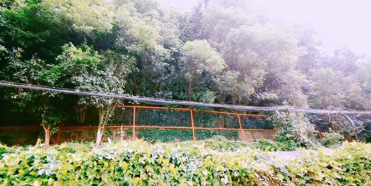 上海市区一个小山坡，曾是<a href=