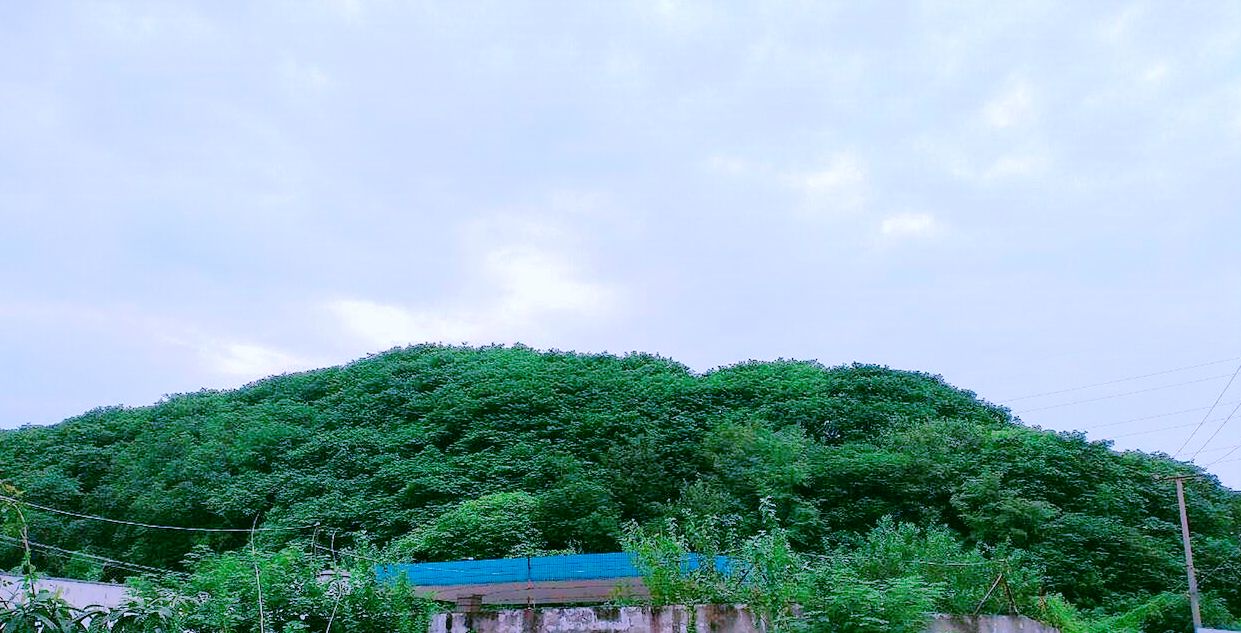 上海市区一个小山坡，曾是<a href=