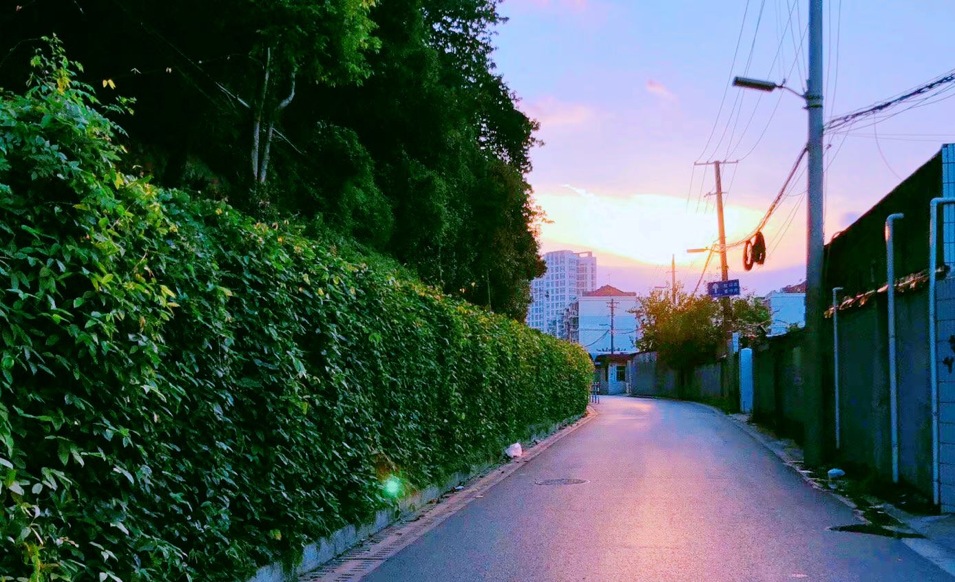 上海市区一个小山坡，曾是<a href=
