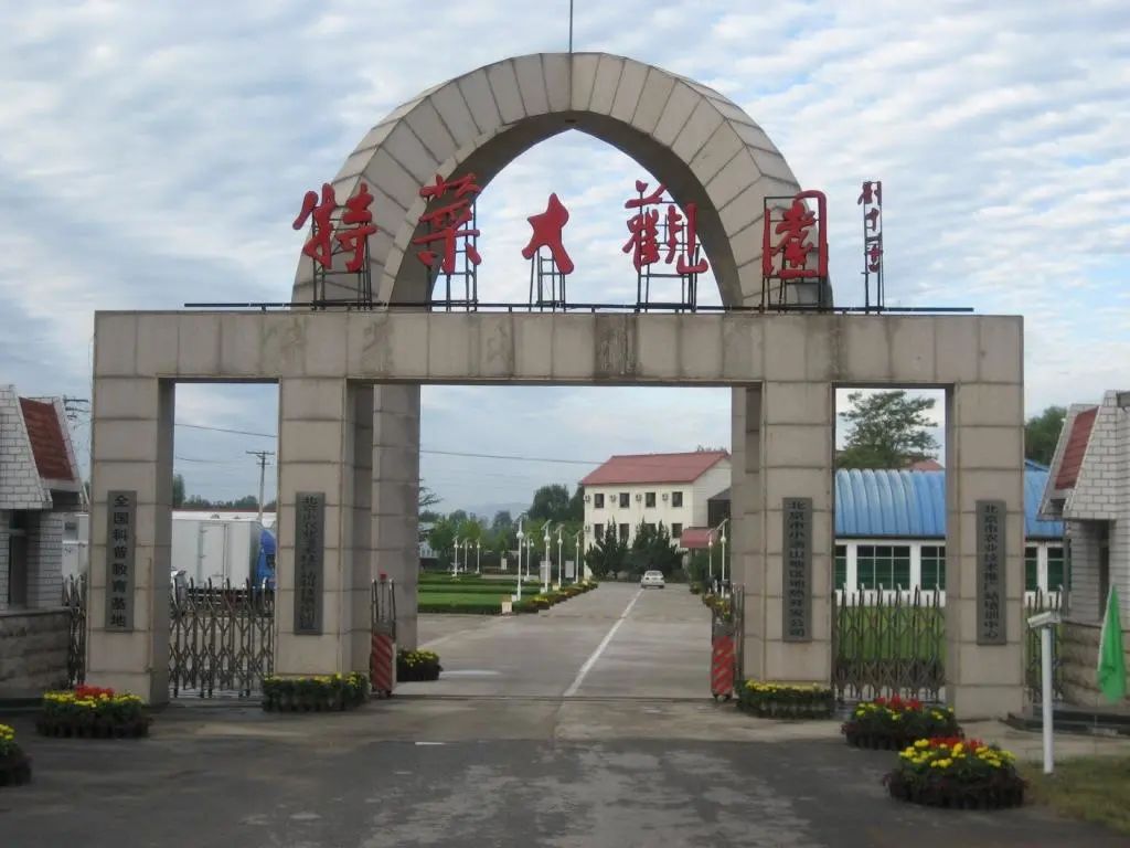 草莓红了!北京“草莓地图”采摘攻略大全来了!休闲区蓝鸢梦想 - Www.slyday.coM 草莓红了!北京“草莓地图”采摘攻略大全来了!休闲区蓝鸢梦想 - Www.slyday.coM