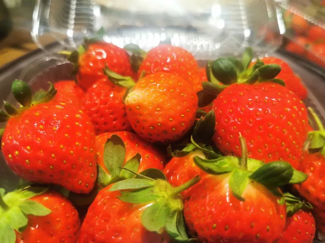 草莓红了!北京“草莓地图”采摘攻略大全来了!休闲区蓝鸢梦想 - Www.slyday.coM 草莓红了!北京“草莓地图”采摘攻略大全来了!休闲区蓝鸢梦想 - Www.slyday.coM