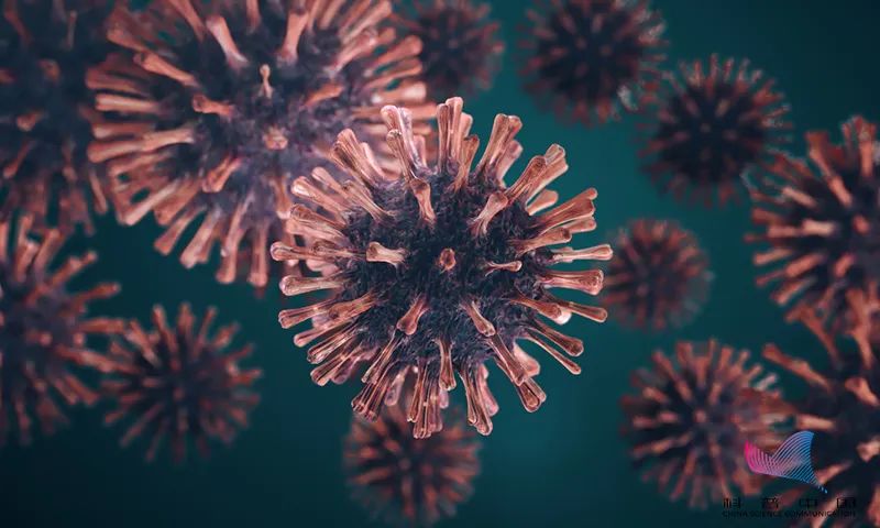 国内两地突现新变异株!为什么病毒一直不断变异?且正以前所未有的速度传播…休闲区蓝鸢梦想 - Www.slyday.coM 国内两地突现新变异株!为什么病毒一直不断变异?且正以前所未有的速度传播…休闲区蓝鸢梦想 - Www.slyday.coM