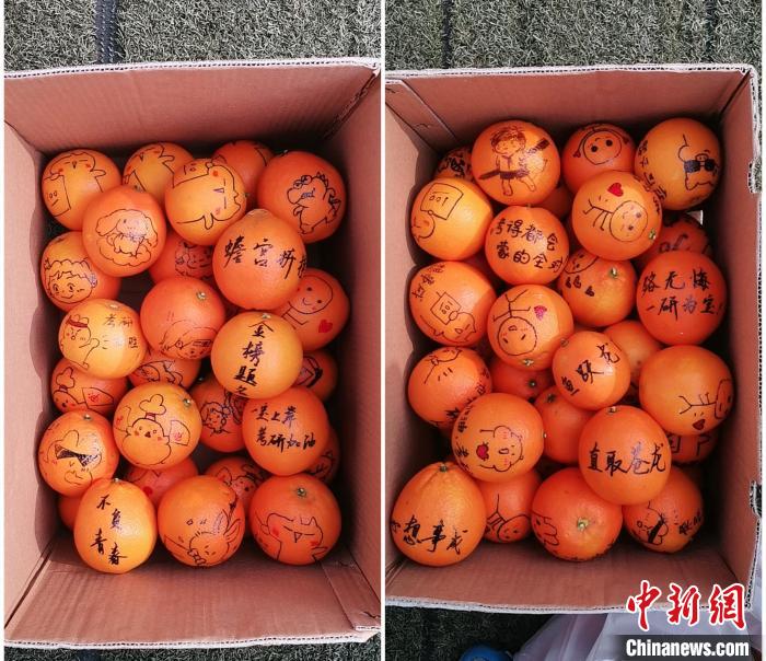暖心！南京一高校给考研学子发放“考研橙功鸭”盲盒